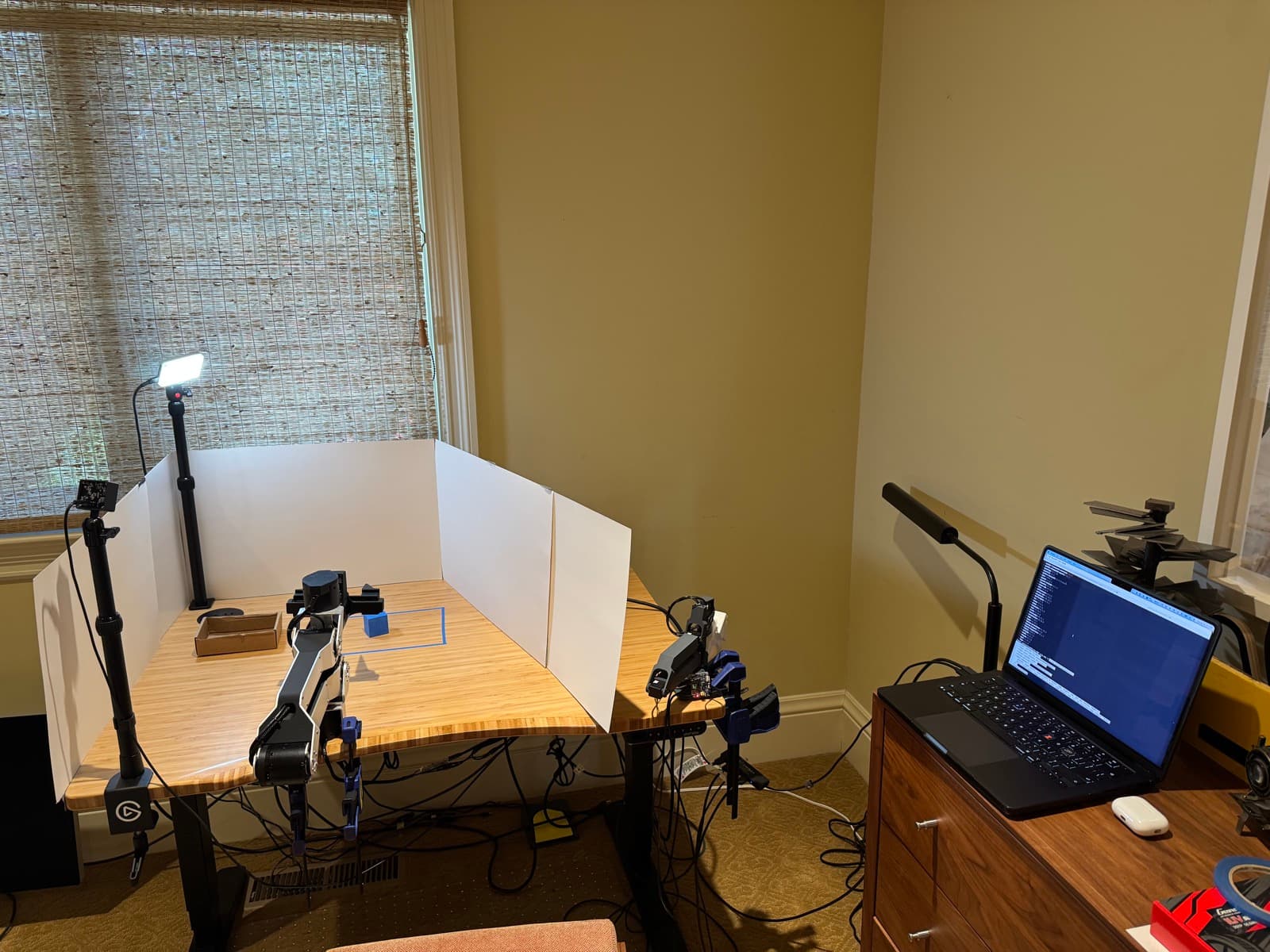 The training and data-collection setup
